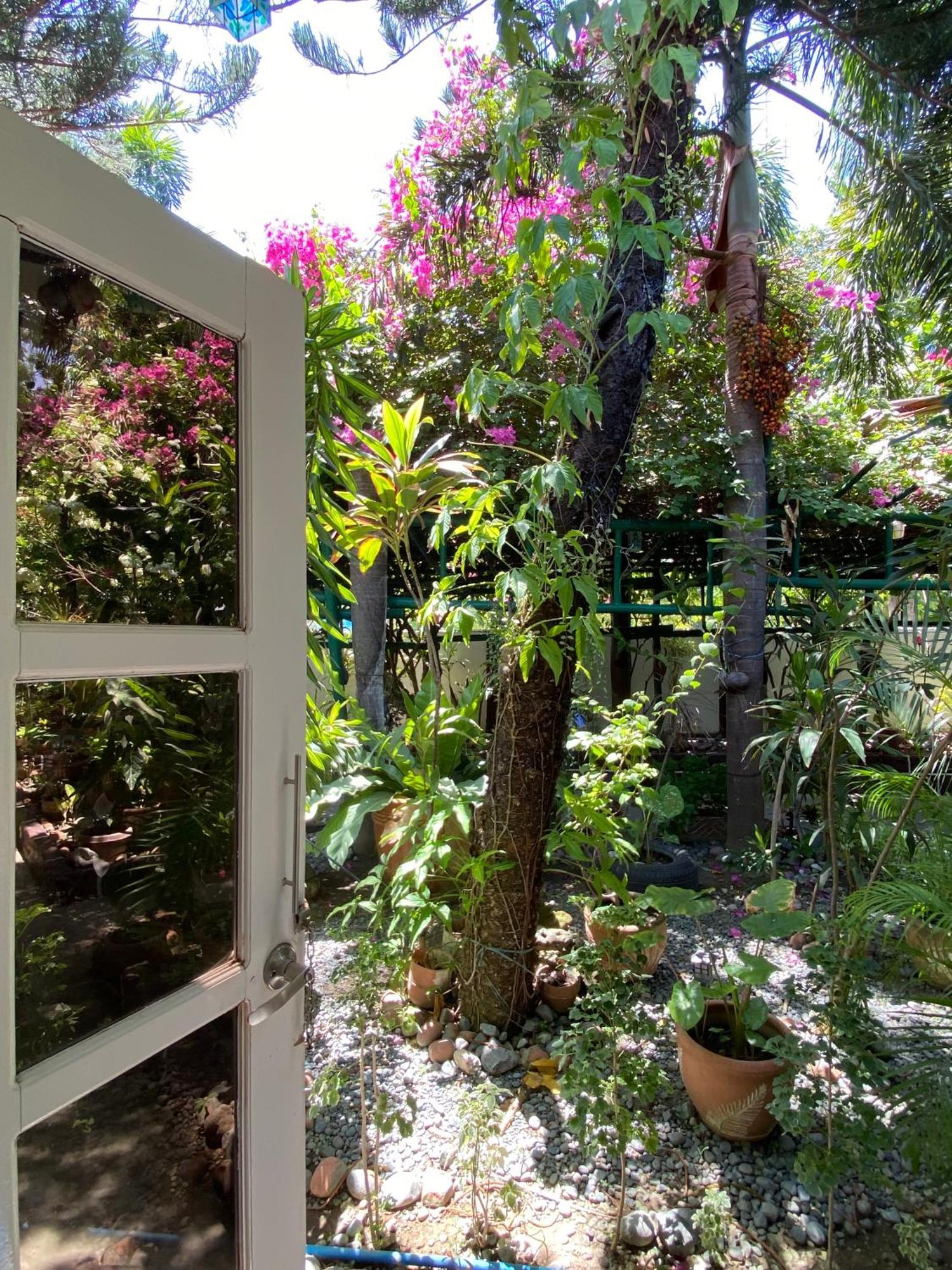 Olana Bed And Breakfast Labrador Luaran gambar
