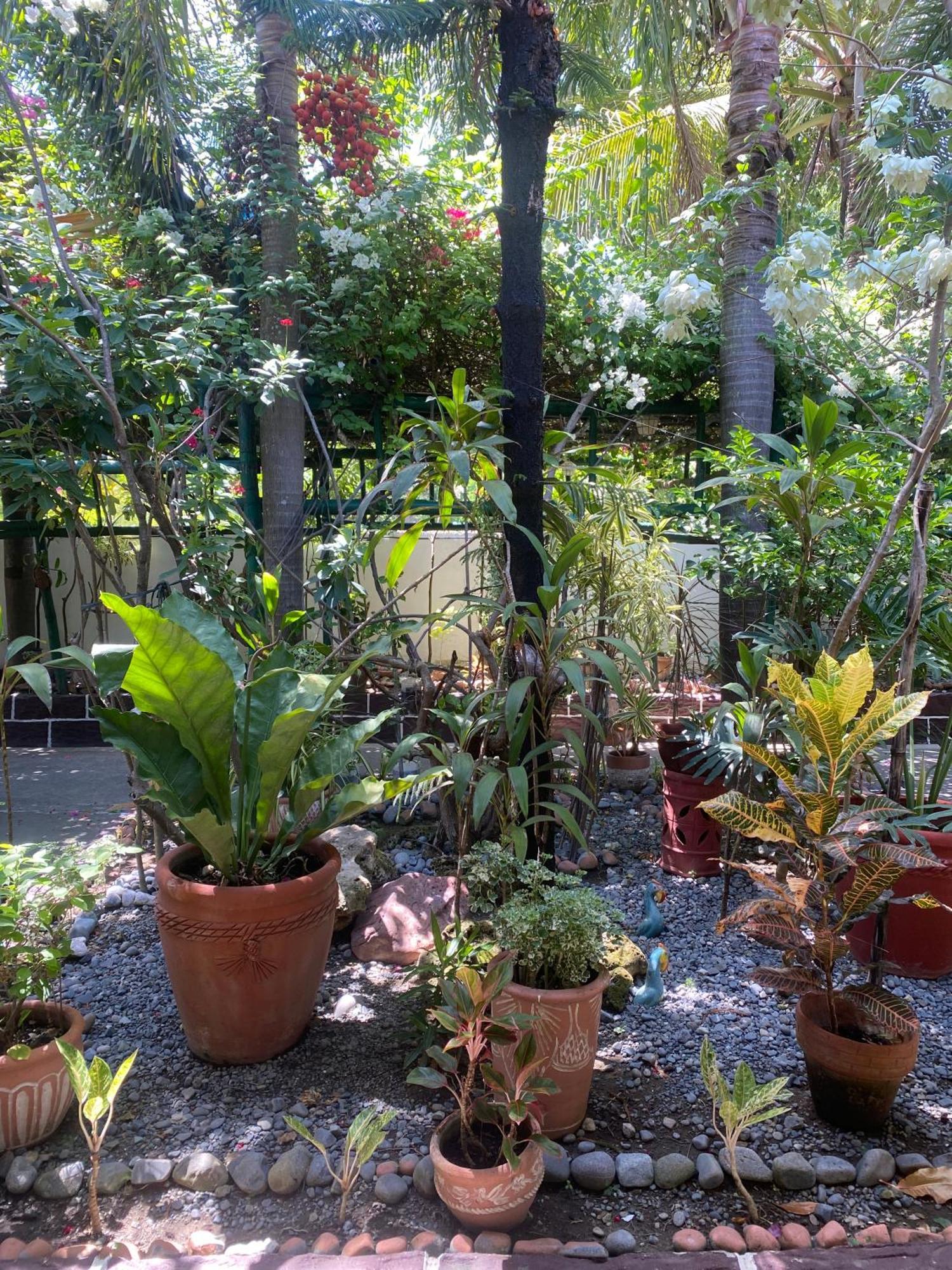 Olana Bed And Breakfast Labrador Luaran gambar